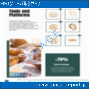 市場と産業調査レポートのイメージ